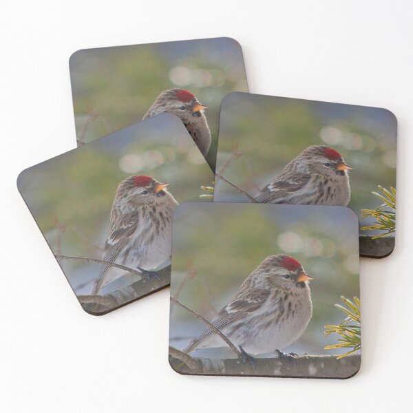 Item preview, A male redpoll bird designed and sold by Production Art Manon Meilleur.