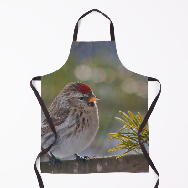 Item preview, A male redpoll bird designed and sold by Production Art Manon Meilleur.