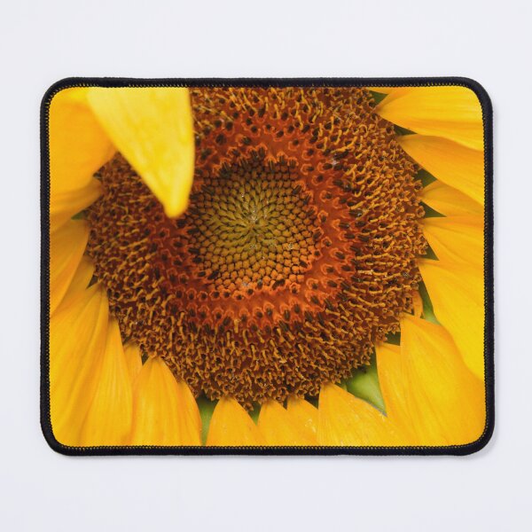 Item preview, Sunflower on nature background designed and sold by olena2552.