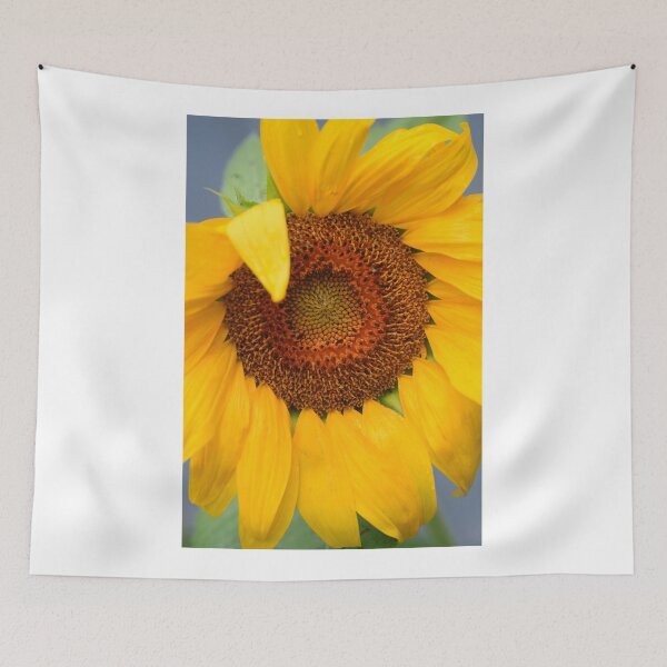 Item preview, Sunflower on nature background designed and sold by olena2552.