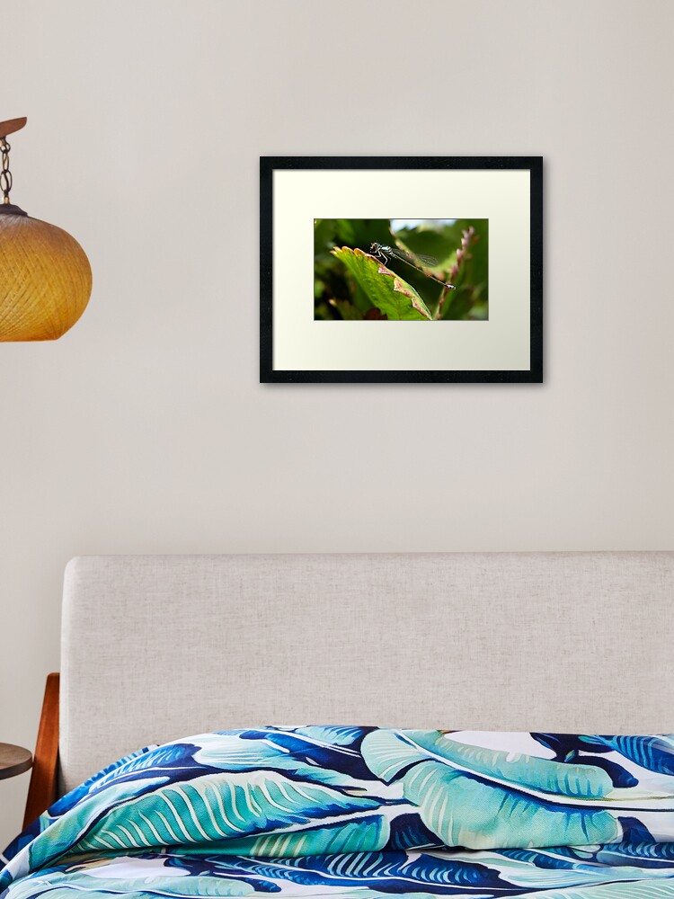 Thumbnail 1 of 7, Framed Art Print, Lunch time designed and sold by damien28.
