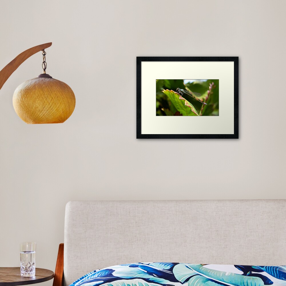 Item preview, Framed Art Print designed and sold by damien28.