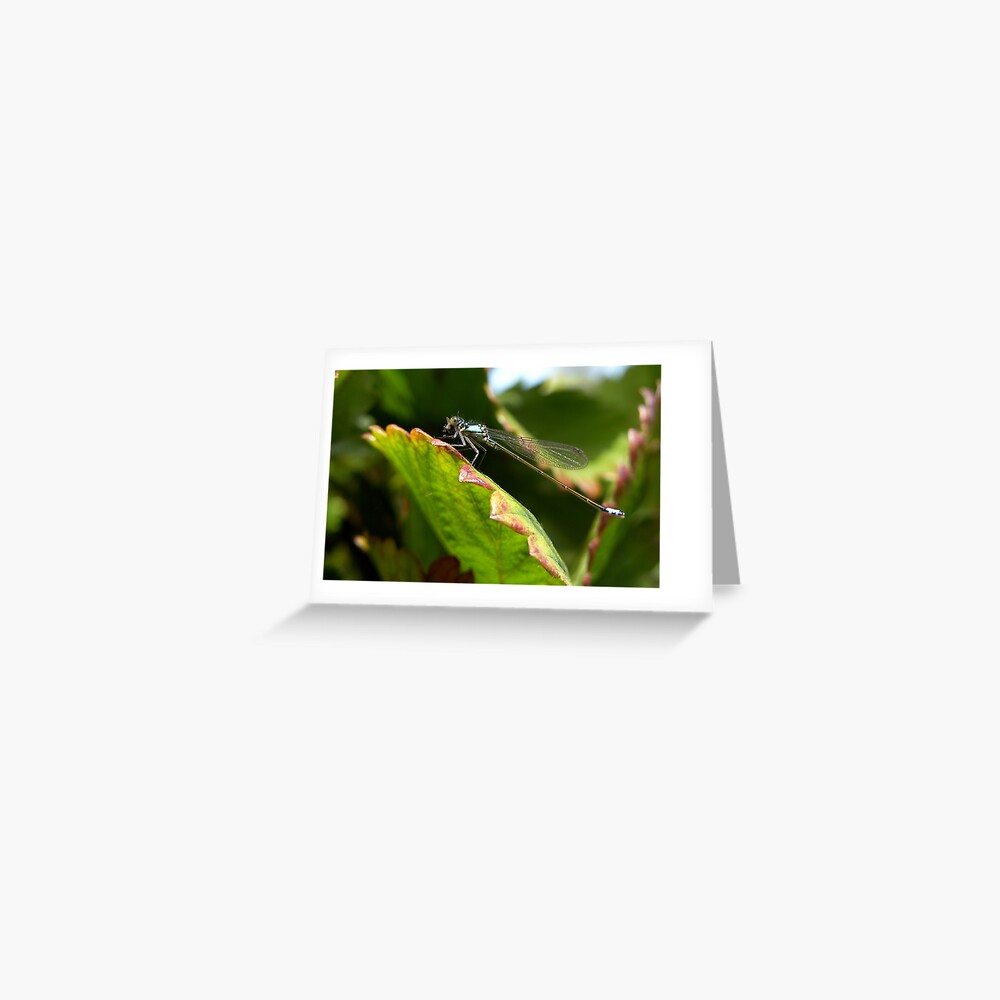 Item preview, Greeting Card designed and sold by damien28.
