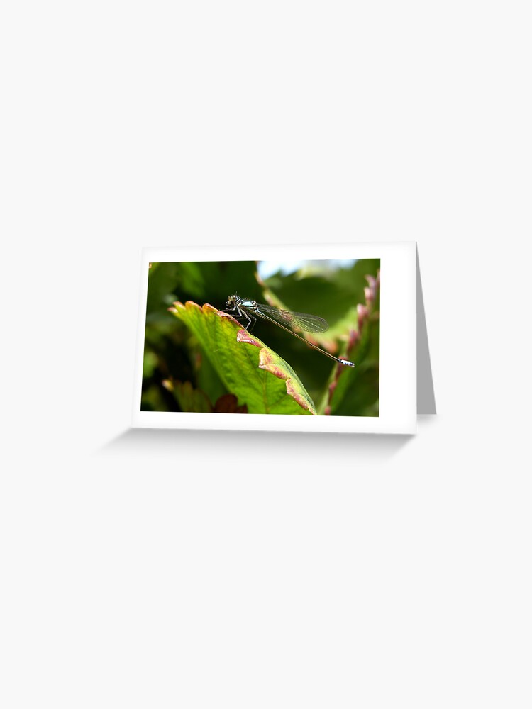 Thumbnail 1 of 2, Greeting Card, Lunch time designed and sold by damien28.