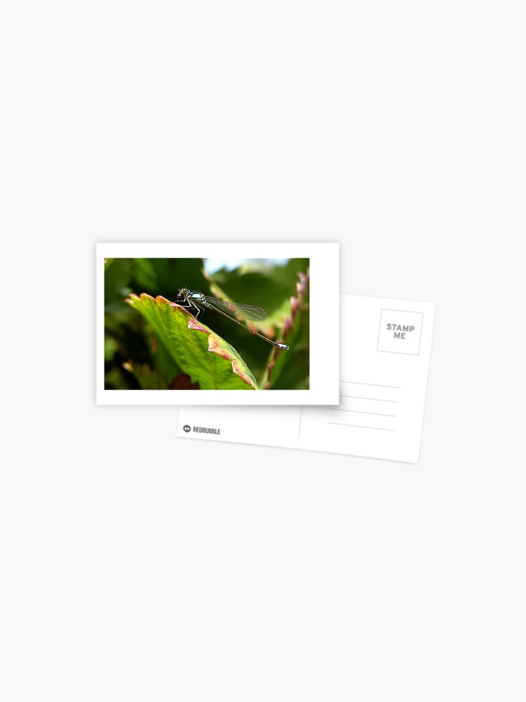 Thumbnail 1 of 2, Postcard, Lunch time designed and sold by damien28.