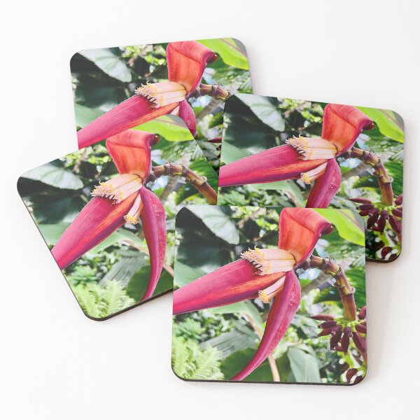 Item preview, Banana Blossom designed and sold by Daria Lev Photo Art.