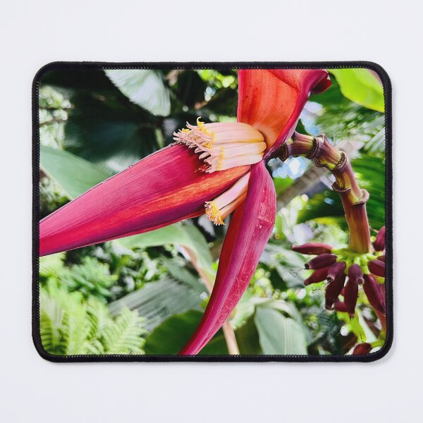 Item preview, Banana Blossom designed and sold by Daria Lev Photo Art.