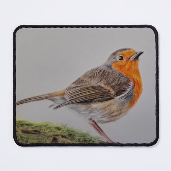 Item preview, Robin designed and sold by Annagibbsart.