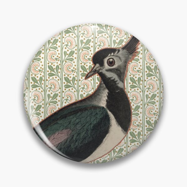 Item preview, Vintage Northern Lapwing Bird Print | 19th Century Crested Peewit Ornithology designed and sold by Folio and Field: Archival Art for Modern Living.