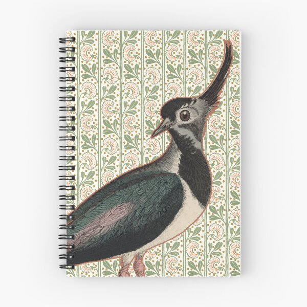Item preview, Vintage Northern Lapwing Bird Print | 19th Century Crested Peewit Ornithology designed and sold by Folio and Field: Archival Art for Modern Living.
