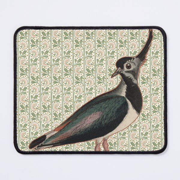 Item preview, Vintage Northern Lapwing Bird Print | 19th Century Crested Peewit Ornithology designed and sold by Folio and Field: Archival Art for Modern Living.