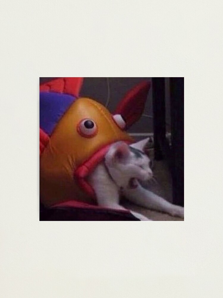cat litter