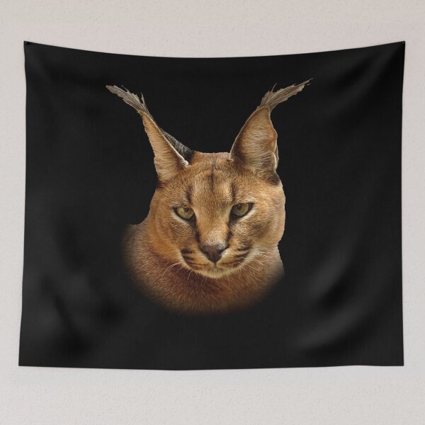 Item preview, Caracal designed and sold by Guardi71.