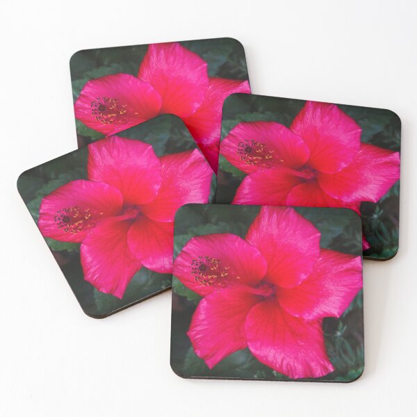 Item preview, Hibiscus Love designed and sold by Maxiverse.