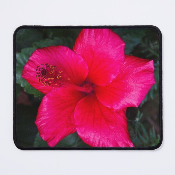 Item preview, Hibiscus Love designed and sold by Maxiverse.