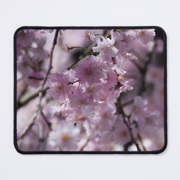 Item preview, Cherry Tree Flowers designed and sold by Grace Alto Photography.