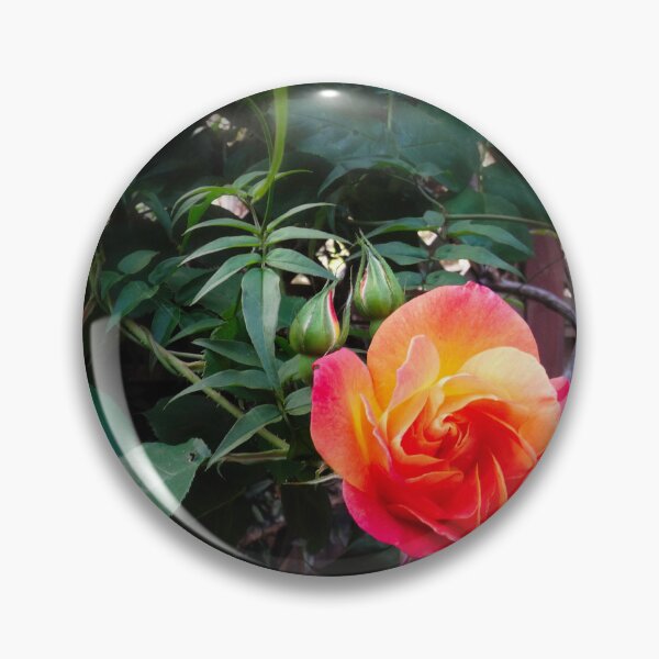 Item preview, June rose designed and sold by Maxiverse.