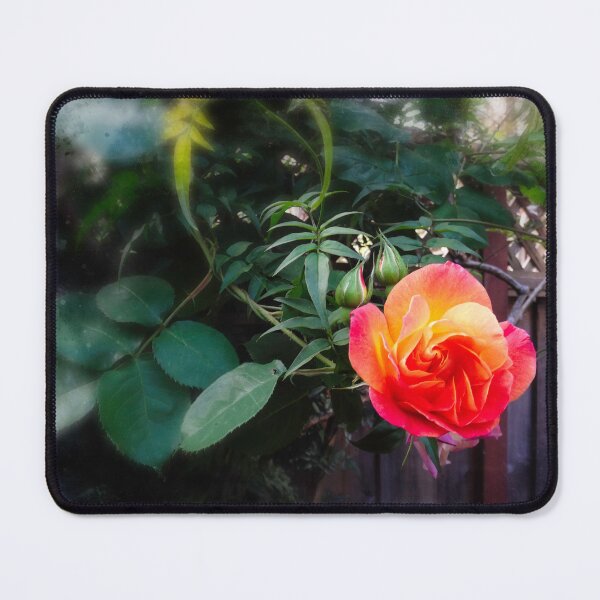 Item preview, June rose designed and sold by Maxiverse.