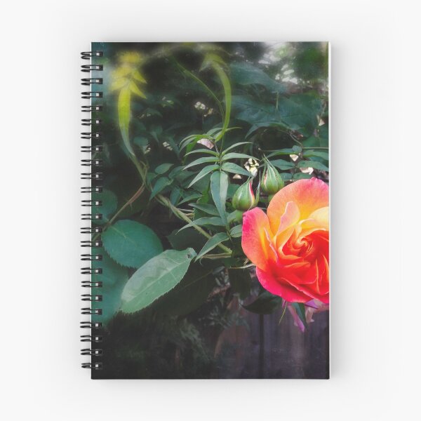 Item preview, June rose designed and sold by Maxiverse.
