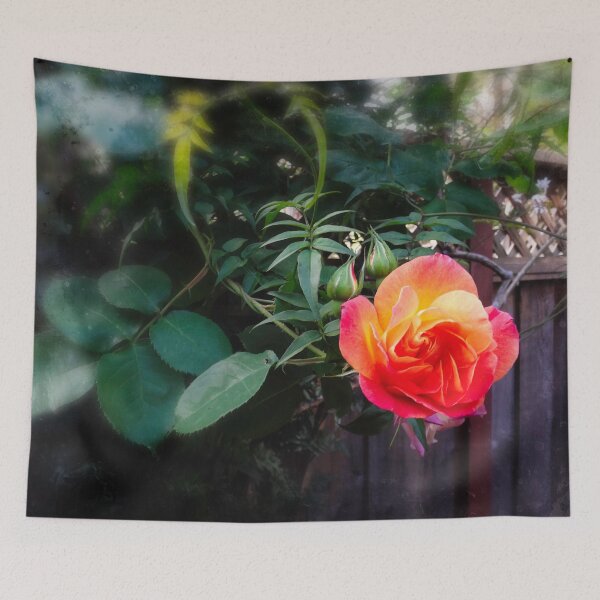 Item preview, June rose designed and sold by Maxiverse.