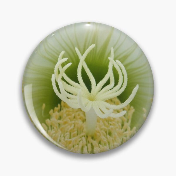 Item preview, Lotus designed and sold by Maxiverse.