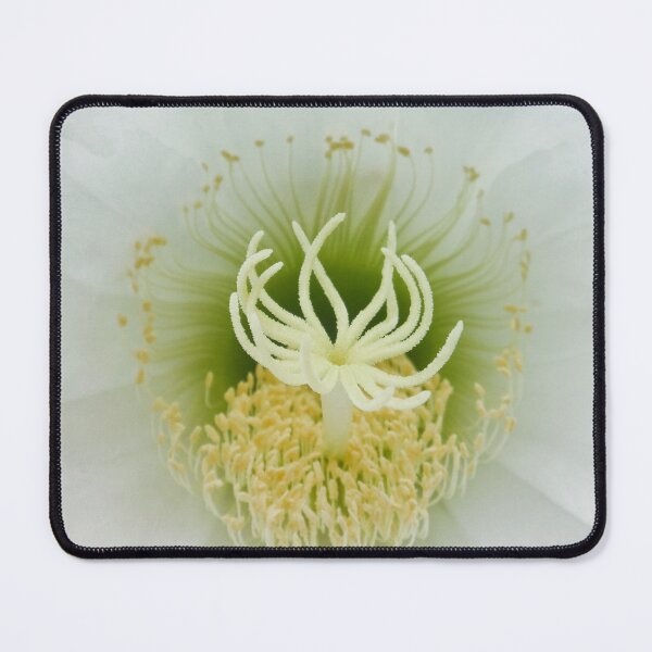 Item preview, Lotus designed and sold by Maxiverse.