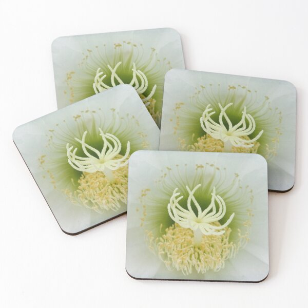 Item preview, Lotus designed and sold by Maxiverse.