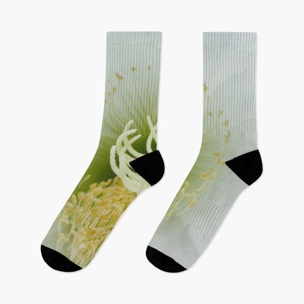 Item preview, Lotus designed and sold by Maxiverse.