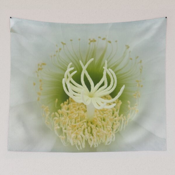 Item preview, Lotus designed and sold by Maxiverse.