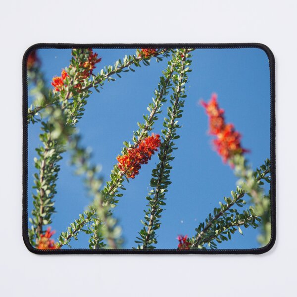 Item preview, Oh, Oh, Ocotillo  designed and sold by SFinnPhoto.