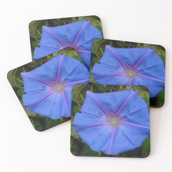 Item preview, Morning glory designed and sold by Maxiverse.
