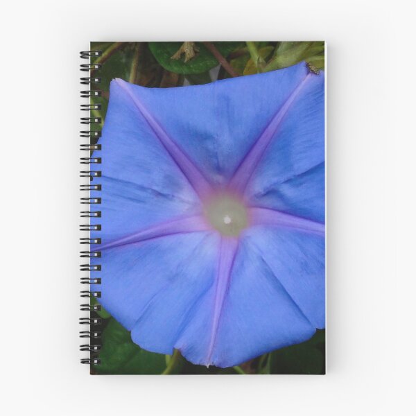 Item preview, Morning glory designed and sold by Maxiverse.