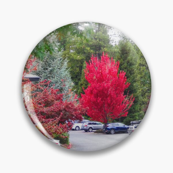 Item preview, Red maple designed and sold by Maxiverse.