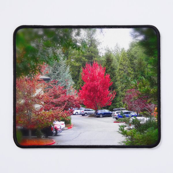 Item preview, Red maple designed and sold by Maxiverse.