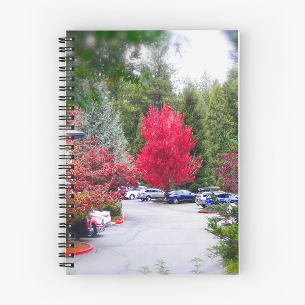 Item preview, Red maple designed and sold by Maxiverse.