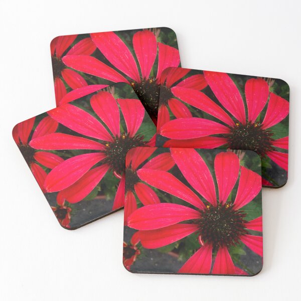 Item preview, Red daisy designed and sold by Maxiverse.