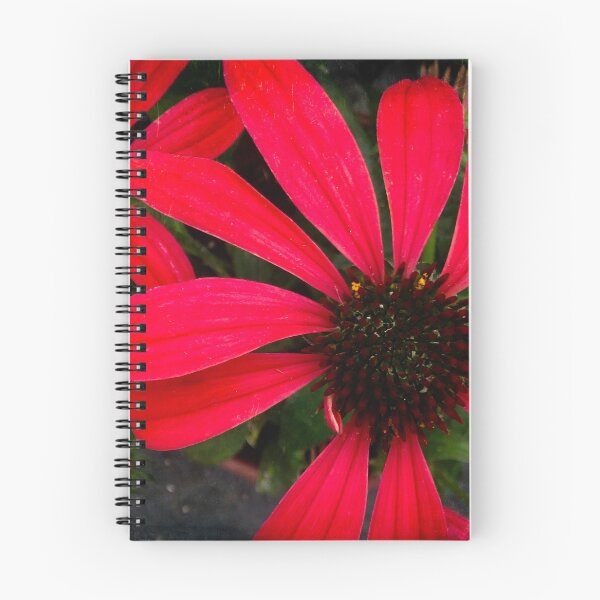 Item preview, Red daisy designed and sold by Maxiverse.