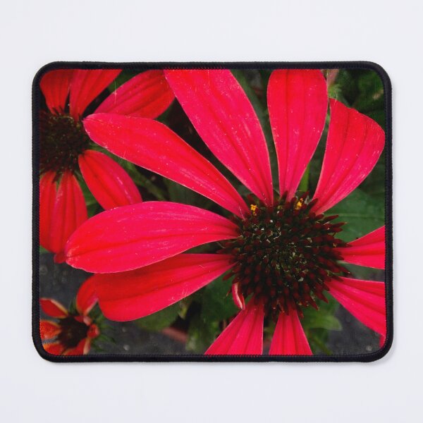 Item preview, Red daisy designed and sold by Maxiverse.