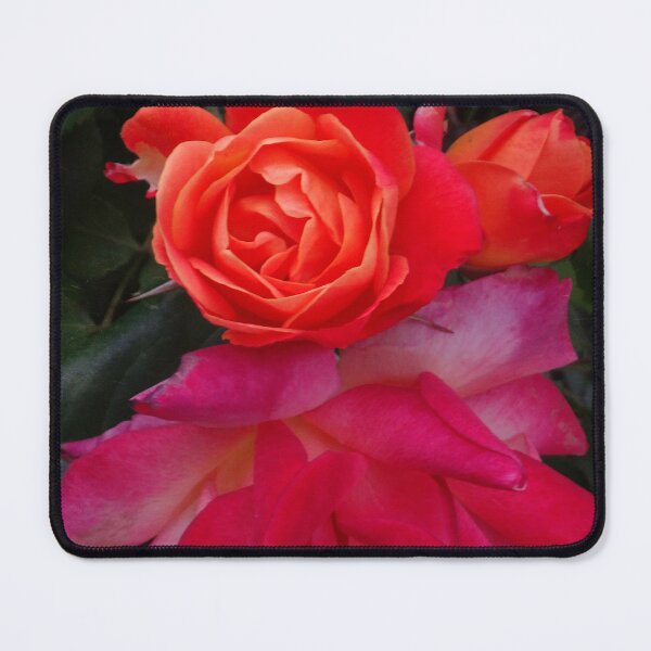Item preview, Rose love designed and sold by Maxiverse.