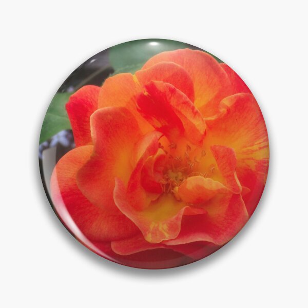 Item preview, Rose morning designed and sold by Maxiverse.