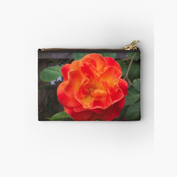 Item preview, Rose morning designed and sold by Maxiverse.