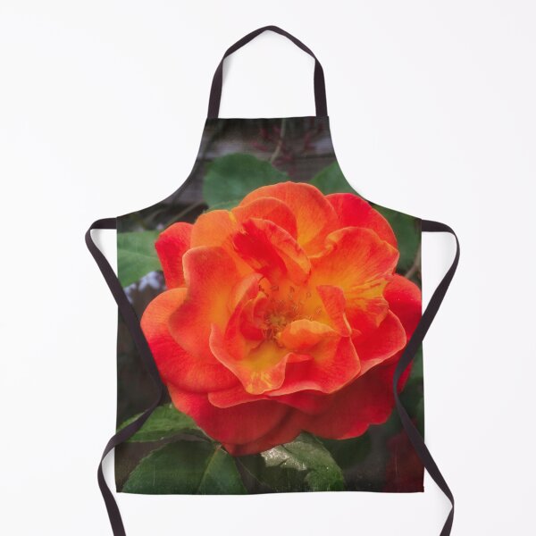 Item preview, Rose morning designed and sold by Maxiverse.