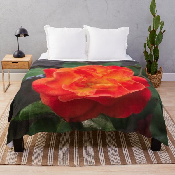 Item preview, Rose morning designed and sold by Maxiverse.