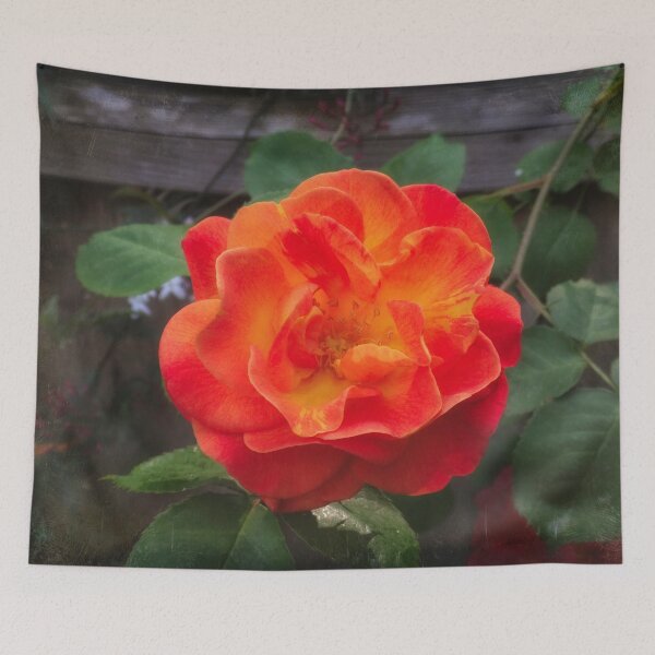 Item preview, Rose morning designed and sold by Maxiverse.