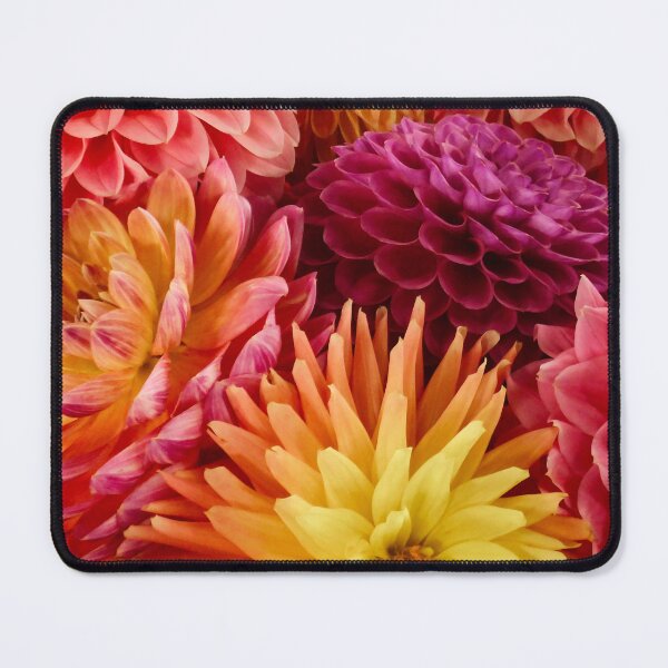 Item preview, Dahlia mash up 2 designed and sold by Maxiverse.