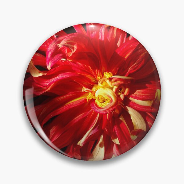 Item preview, Dahlia bang designed and sold by Maxiverse.