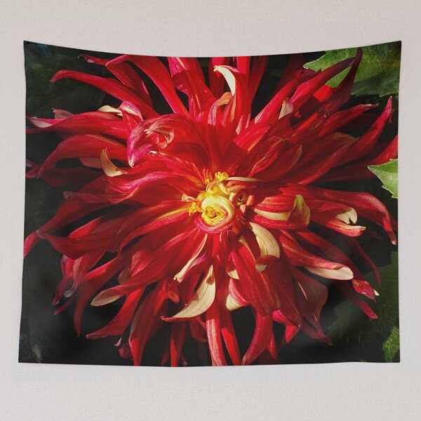 Item preview, Dahlia bang designed and sold by Maxiverse.