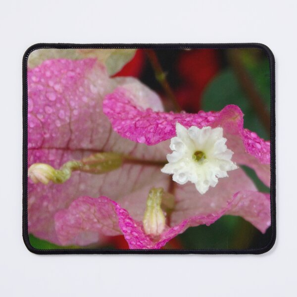 Item preview, Bougainvillea Pink designed and sold by Maxiverse.