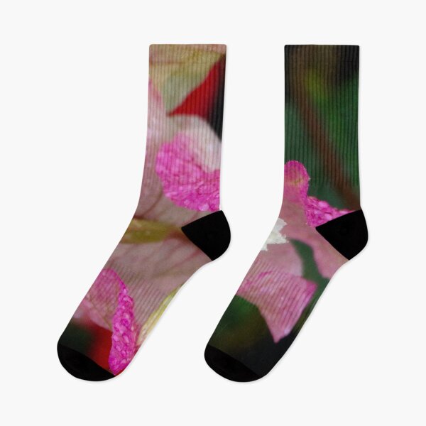 Item preview, Bougainvillea Pink  designed and sold by Maxiverse.