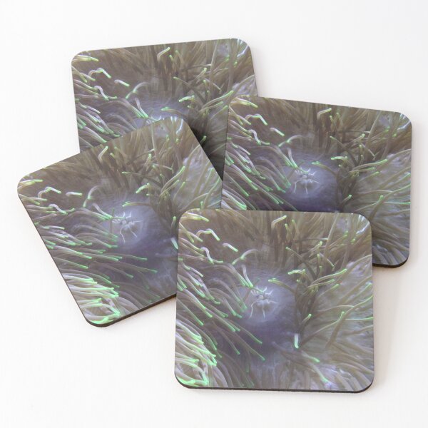 Item preview, Coral designed and sold by Maxiverse.